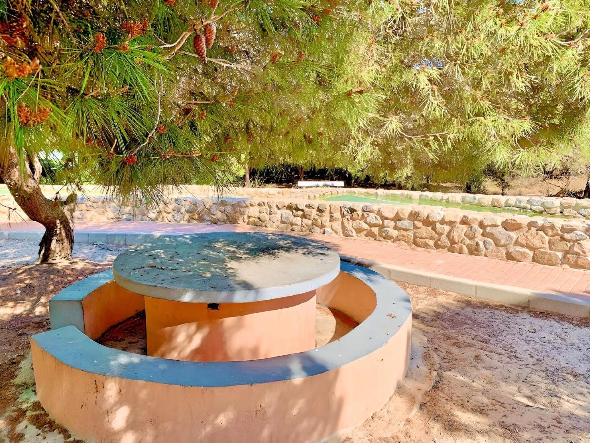 Your Holidays In La Mata 托雷维耶哈 外观 照片