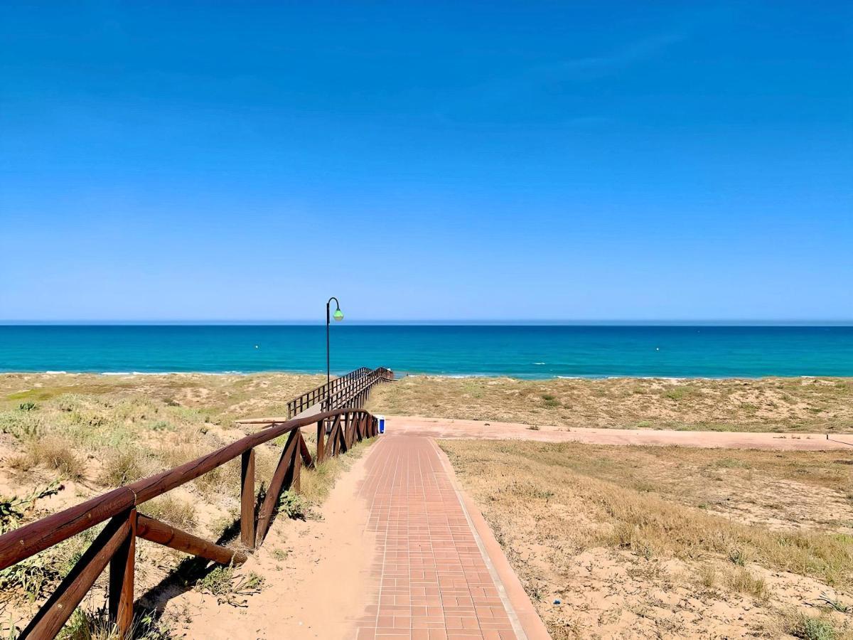 Your Holidays In La Mata 托雷维耶哈 外观 照片